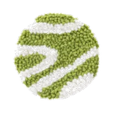 CS2