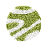 CS2